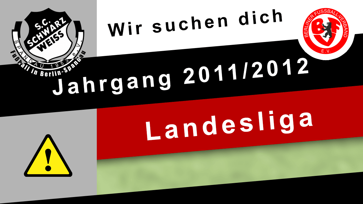 Wir suchen dich (2011/12) für Landesliga post thumbnail image