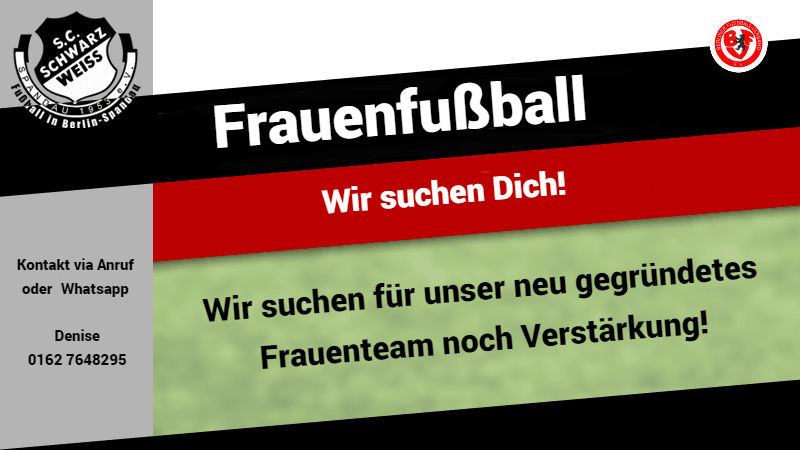 Neu gegründetes Frauenteam bei SWS post thumbnail image